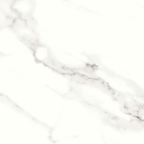 Contessa in Dama 11" X 23" Polished Tile