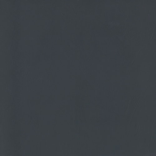 Council In Black 12" X 24" Matte