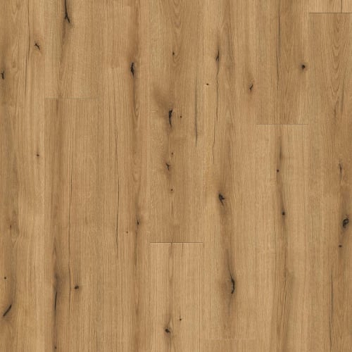 Puregrain Renew - Wood Tech In Stanton Moore