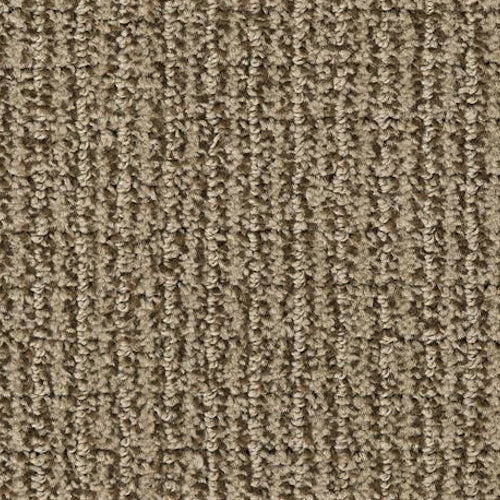 Palermo - Limestone in  Area Rugs