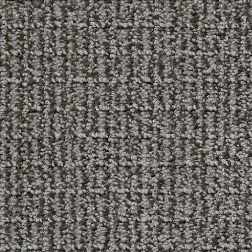 Brenna in Belgian Wheat Hardwood