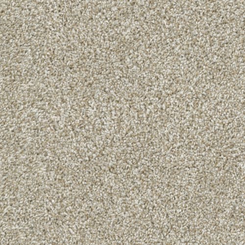 Big Idea in Sandstone Carpet