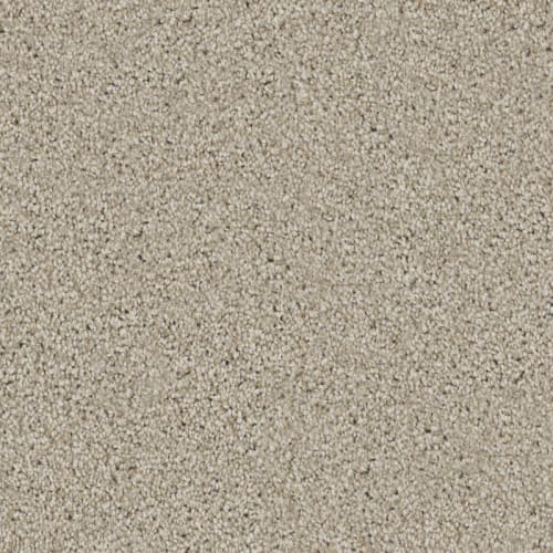Bold Venture