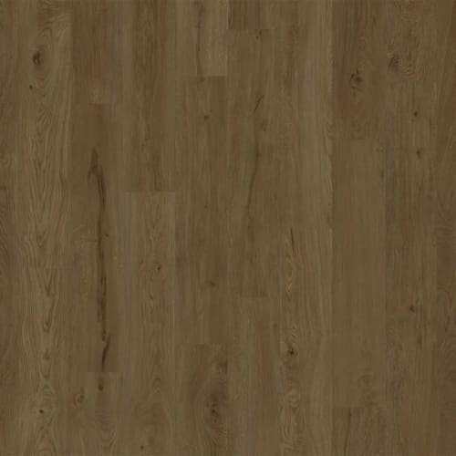 American Standard in Biscayne