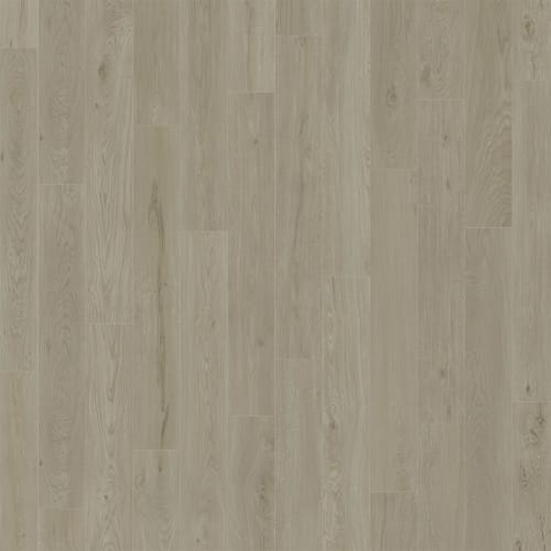 American Standard in Watercolor