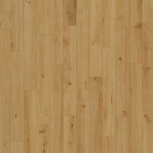 Puregrain High-Def - Divine In Enchant