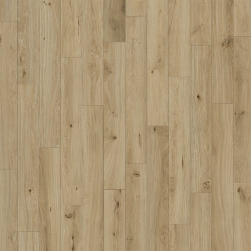 Puregrain High-Def - Divine In Bungalow