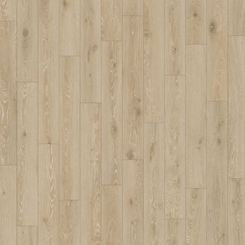 Puregrain High-Def - Divine In Cameo