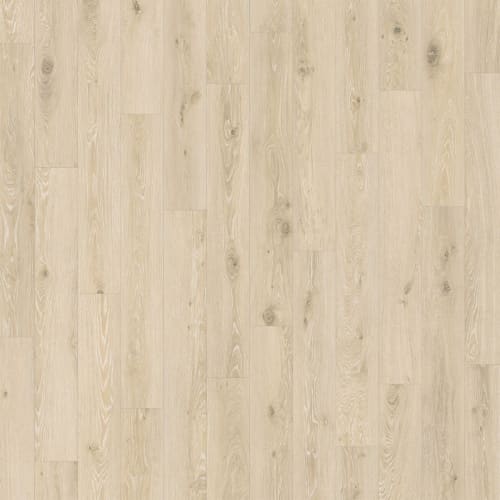 Puregrain High-Def - Divine In Stardust