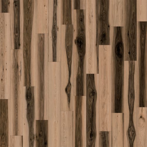 Puregrain High-Def - Antiquity In Bruno