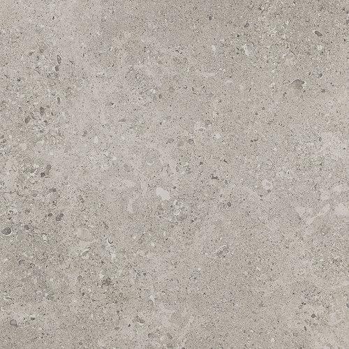 Dignitary In Superior Taupe 12X24