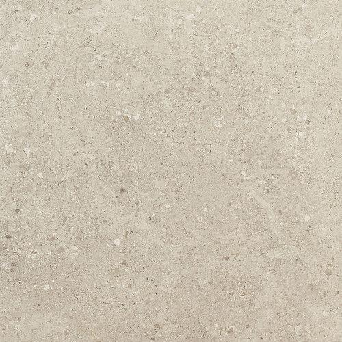 Dignitary In Notable Beige 12X24