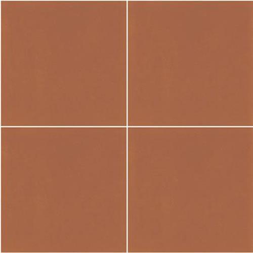 D_Segni Color In Tangerine - 8X8