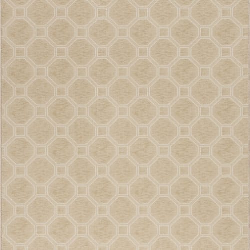 Delicate Frame - Muslin 7’8”X10’9”
