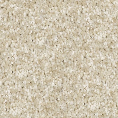 Tryesse & Tri-Color - Stadium