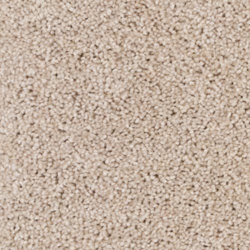 Tryesse Pro - Relaxing Getaway in Dune White Carpet