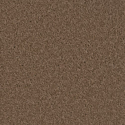 Airwaves Plus in Latte Carpet