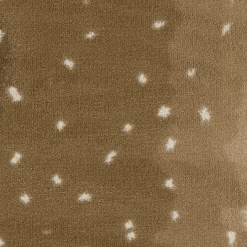 IMAGINE - EXOTIC ESCAPE - CHITAL