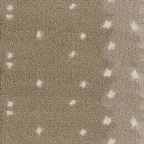 IMAGINE - EXOTIC ESCAPE - CHITAL
