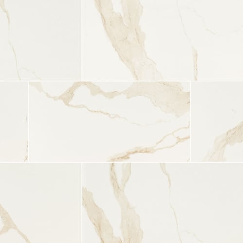 Eden In Calacatta - 24X48 Matte