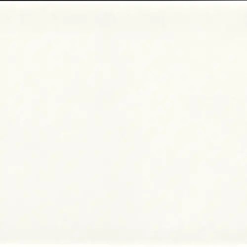 Emotive In Astonished White 4" X 9"