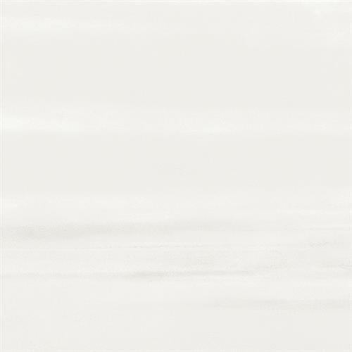 Silhouette In Contour - 12X24