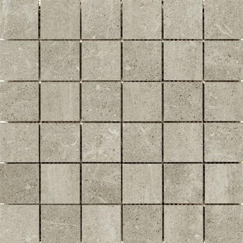 Potenza In Gray - Mosaic