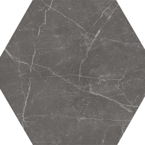 Sterlina II in Asphalt-8x10 Hex Tile