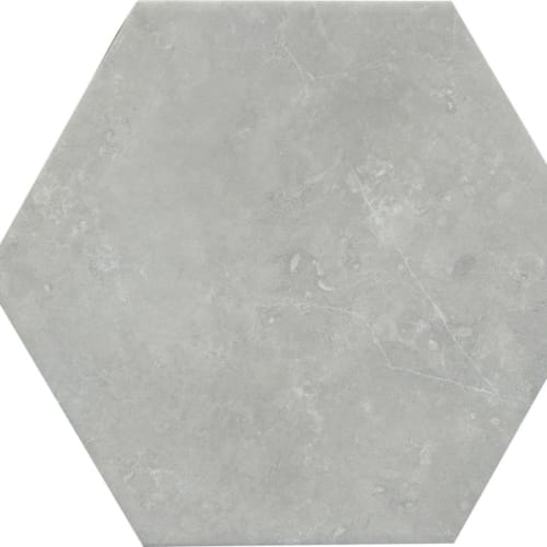 Sterlina II in Gray-8x10 Hex Tile
