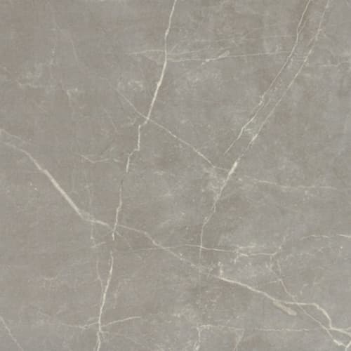 Sterlina II in Dove-24x24-Matte Tile