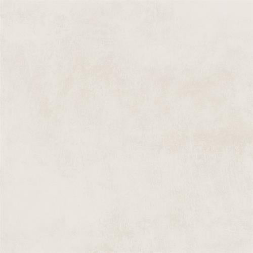 Citizen In Elector - 24X24 Matte