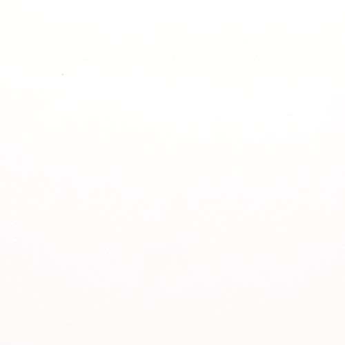 Style Ii In Pure White Matte 12" X 24"