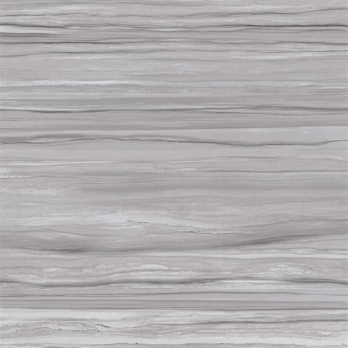 Ciudad In Gray 12"X24"