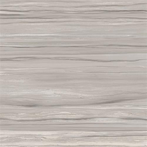 Ciudad In Taupe 12"X24"