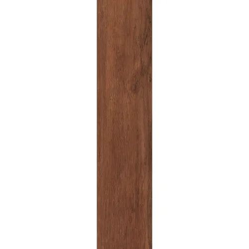 Magnolia In Burl