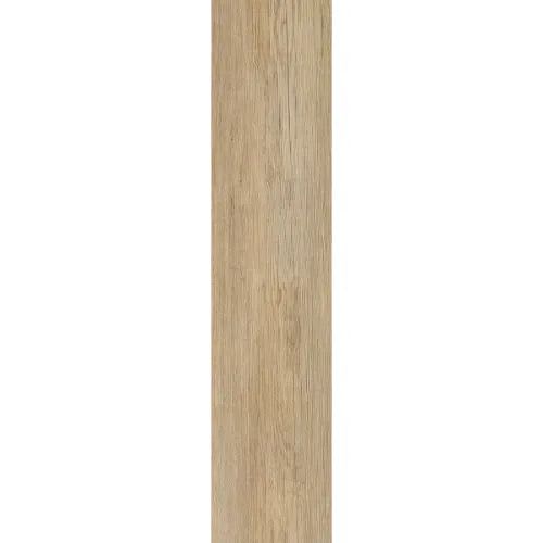 Magnolia In Fir