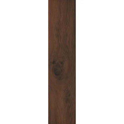 Magnolia In Mahogany