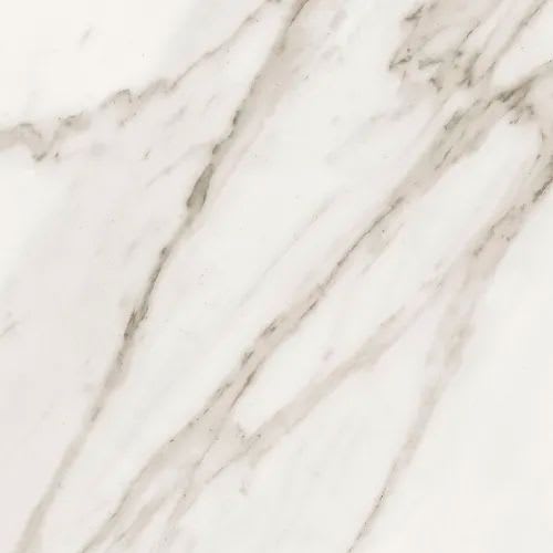 Precious In Calacatta 12" X 24"