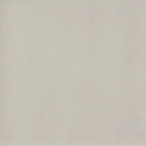 Time 2.0 In Silver Natural 24" X 24"