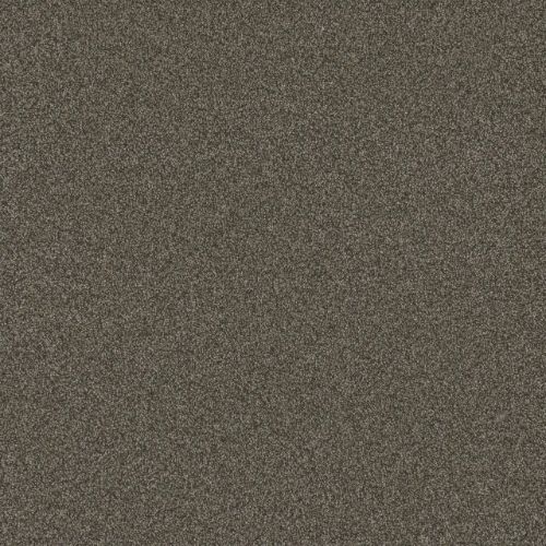 BLAZER II in French Roast Carpet