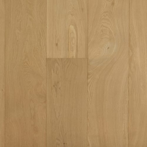 Renaissance 3/4" in Royal Oak