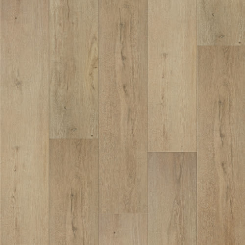 Aqua Elite Plus Collection in Taffer