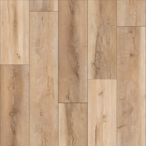 Aqua Elite Plus Collection in Ballard