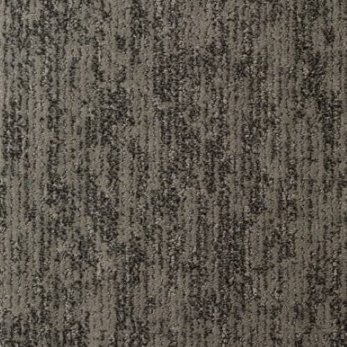 Aspen in Graphite Carpet