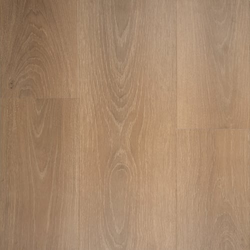 Nuvomax 8 - Haywood In Toffeenut