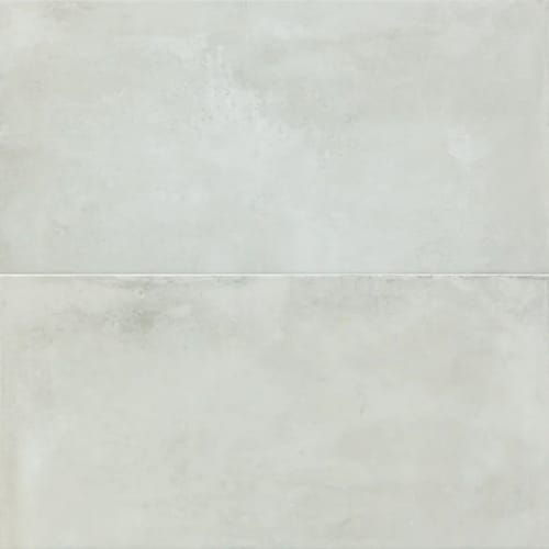 Icon in Silver 24x48 Tile