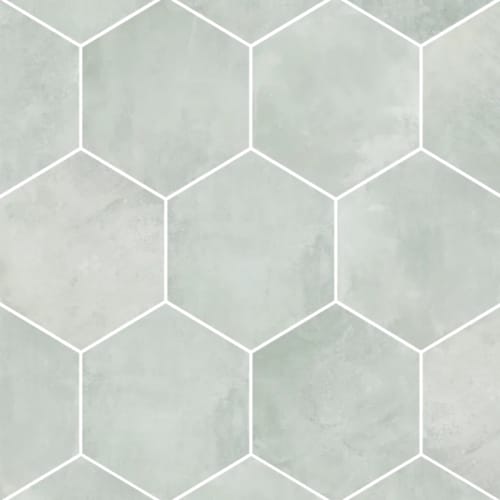Icon In Silver Hex