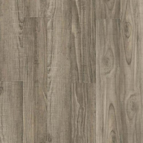 Expedition in Magellan Luxury Vinyl