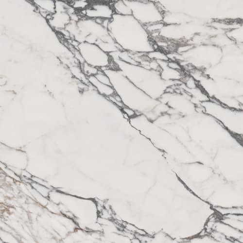 Indulge in Arabescato 36x36 Polished