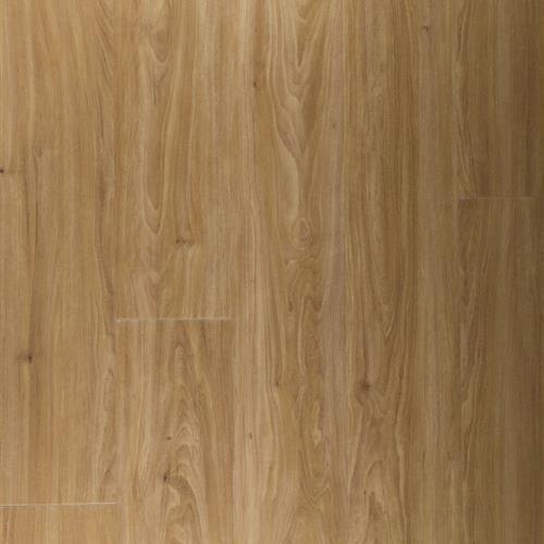 Tandem Standard in Sussex Luxury Vinyl